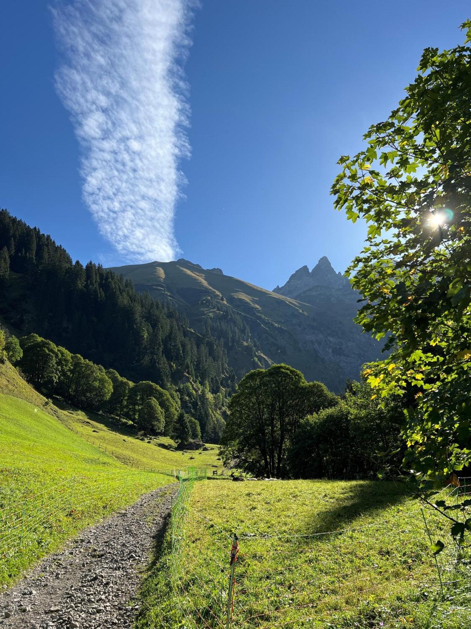 Traudi
